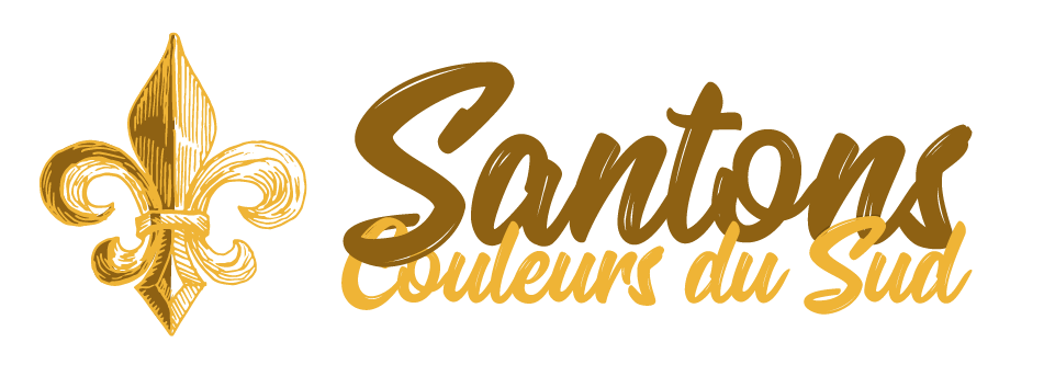 Logo Santonscouleursdusud