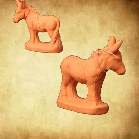 Âne Croix de Saint André